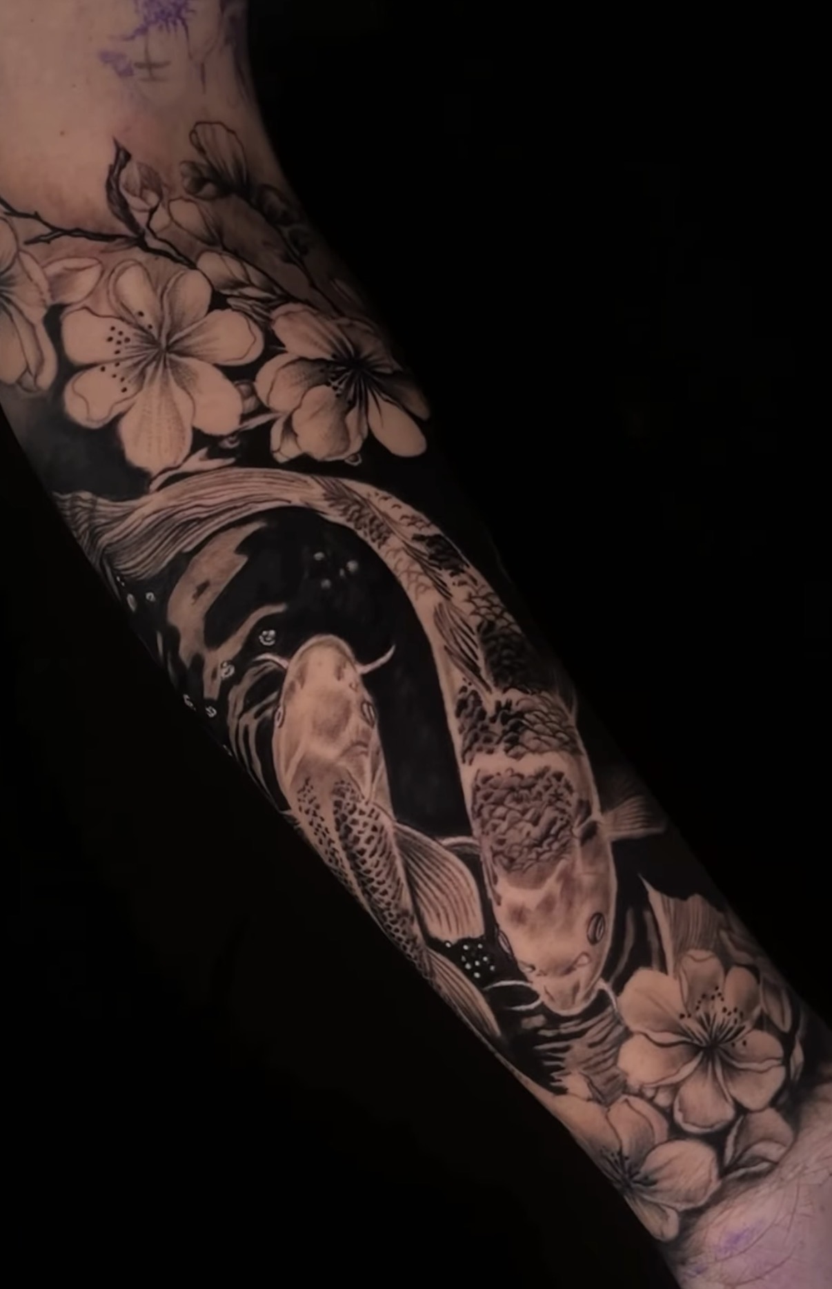 Koi & Blossom